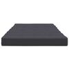 vidaXL Coussins de chaise longue lot de 2 anthracite tissu oxford
