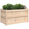 vidaXL Jardini&egrave;res 2 pcs bois de pin massif