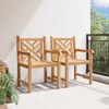 vidaXL Chaises de jardin 2 pcs Marron 58 x 60 x 90 cm