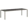 vidaXL Table de Jardin Gris 250 x 100 x 75 cm polyrotin