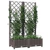 vidaXL Jardini&egrave;re avec treillis Marron 80x40x121,5 cm PP