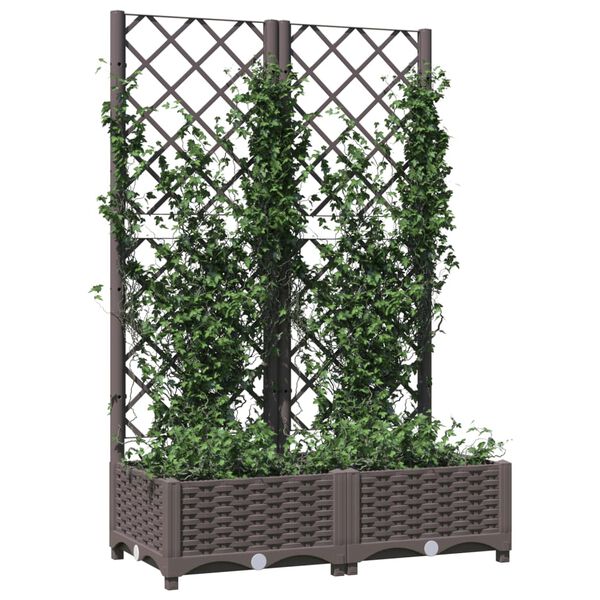 vidaXL Jardini&egrave;re avec treillis Marron 80x40x121,5 cm PP