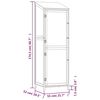 vidaXL Remise de jardin 55x52x174,5 cm Bois de sapin solide