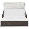 vidaXL Chaise longue à 2 places avec auvent Résine tressée Marron
