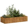 vidaXL Jardini&egrave;re rouill&eacute; 200x80x40 cm acier inoxydable