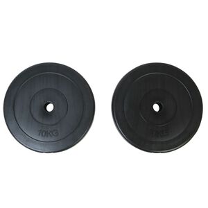 vidaXL Plaques de poids 2 x 10 kg