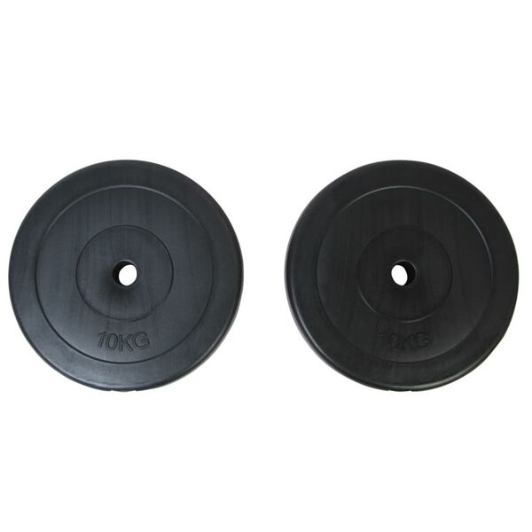 vidaXL Plaques de poids 2 x 10 kg