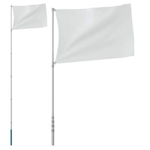 vidaXL M&acirc;t de drapeau t&eacute;lescopique Argent&eacute; 5,5 m Aluminium