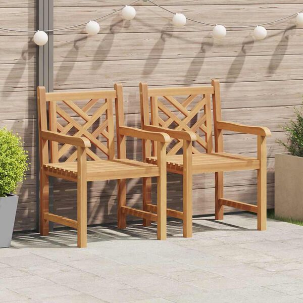 vidaXL Chaises de jardin 2 pcs Marron 58 x 60 x 90 cm
