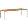 vidaXL Table de Jardin Gris 250 x 100 x 75 cm polyrotin