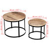 vidaXL Table basse 2 pcs Bois de manguier brut Rond 40/50 cm
