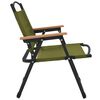 vidaXL Chaises de camping lot de 2 Vert 54x43x59 cm Tissu Oxford