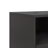 vidaXL Meuble TV noir 100,5x39x60,5 cm acier