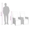 vidaXL Canap&eacute; de jardin inclinable 2 places avec Table en r&eacute;sine tress&eacute;e grise