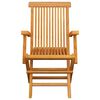 vidaXL Chaises de jardin lot de 3 Bois de teck massif