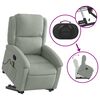 vidaXL Fauteuil inclinable de massage gris clair velours