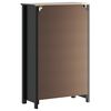 vidaXL Armoire de salle de bain BERG noir 69,5x34x110 cm pin massif