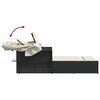 vidaXL Chaise longue double et auvent et coussins noir résine tressée