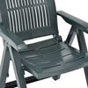 vidaXL Chaises inclinables de jardin lot de 2 Plastique Vert