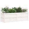vidaXL Jardini&egrave;re blanc 150x50x50 cm bois massif de pin