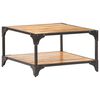 vidaXL Table basse 60x60x35 cm Bois de manguier massif
