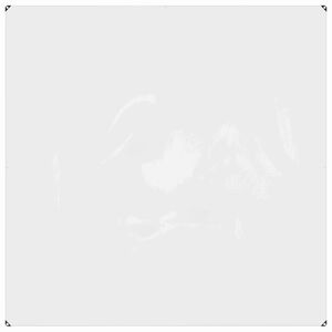 vidaXL B&acirc;che avec &oelig;illets Transparent 2 x 2 m Poly&eacute;thyl&egrave;ne