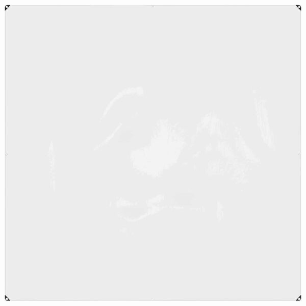 vidaXL B&acirc;che avec &oelig;illets Transparent 2 x 2 m Poly&eacute;thyl&egrave;ne