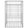 vidaXL Poteaux &agrave; panier de gabion 2 pcs 40x40x60 cm Fer