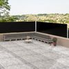 vidaXL Auvent latéral rétractable Anthracite 100 x 1000 cm
