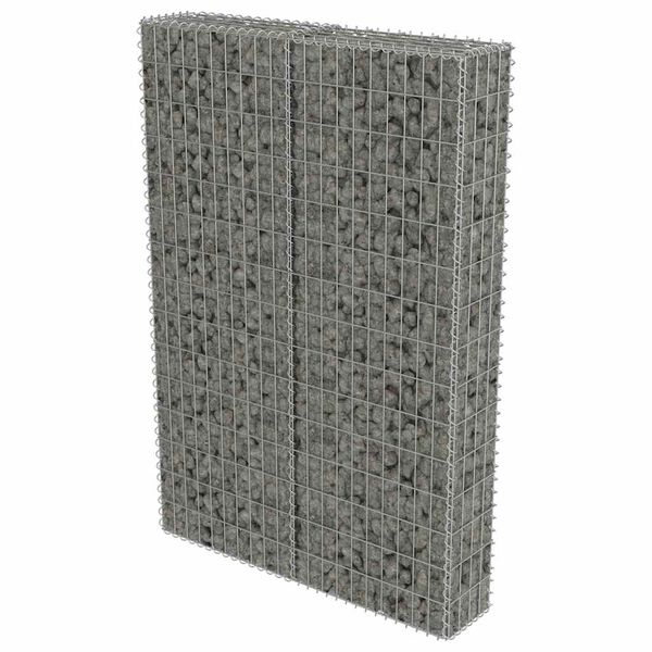 vidaXL Mur &agrave; gabion avec couvercles Acier galvanis&eacute; 100x20x150 cm