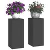 vidaXL Support de Plante 2 pcs Noir 24 x 24 x 55 cm Acier