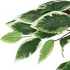 vidaXL Ficus artificiel 1260 feuilles 200 cm vert