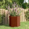 vidaXL Jardini&egrave;re Rouill&eacute; 40x40x45 cm Acier corten