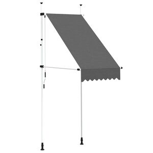 vidaXL Auvent manuel r&eacute;tractable 100 cm anthracite