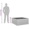 vidaXL Lit surélevé de jardin 100x100x45 cm Acier galvanisé Argenté