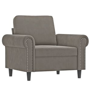 vidaXL Fauteuil Gris clair 60 cm Velours