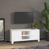 vidaXL Meuble TV industriel Blanc 105x35x42 cm M&eacute;tal