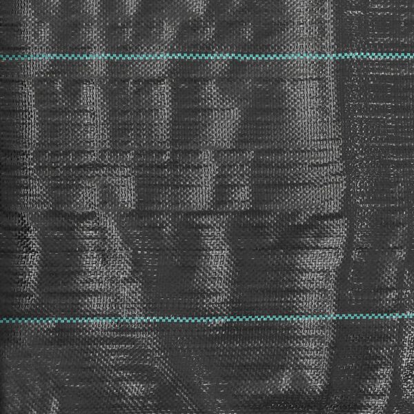 vidaXL Toile de paillage PP 2x150 m Noir