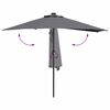 vidaXL Parasol de jardin Anthracite 294 x 150 x 224 cm