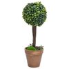 vidaXL Plantes de buis artificiel 2 pcs avec pots Boule Vert 56 cm