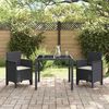 vidaXL Chaise de jardin 2 pcs Anthracite 53 x 49 x 85 cm PP