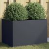 vidaXL Jardini&egrave;re anthracite 62x40x39 cm acier