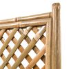 vidaXL Lit surélevé de jardin avec treillis Bambou 40 cm