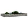 vidaXL Lit sur&eacute;lev&eacute; &agrave; gabion Acier galvanis&eacute; 200x100x20 cm