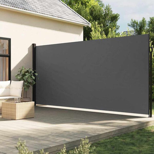 vidaXL Auvent lat&eacute;ral r&eacute;tractable anthracite 220x500 cm