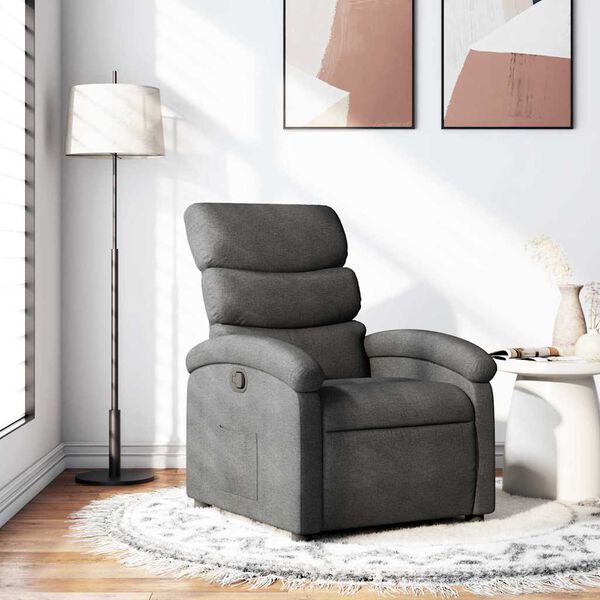vidaXL Fauteuil inclinable Gris fonc&eacute; Tissu