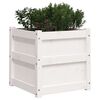 vidaXL Jardini&egrave;res 2 pcs blanc bois de pin massif
