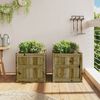 vidaXL Jardini&egrave;res 2 pcs bois de pin impr&eacute;gn&eacute;
