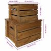 vidaXL Ensemble de caisse de rangement 2 pcs bois d'acajou massif