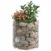 vidaXL Poteau &agrave; gabion circulaire Acier galvanis&eacute; &Oslash;50x50 cm